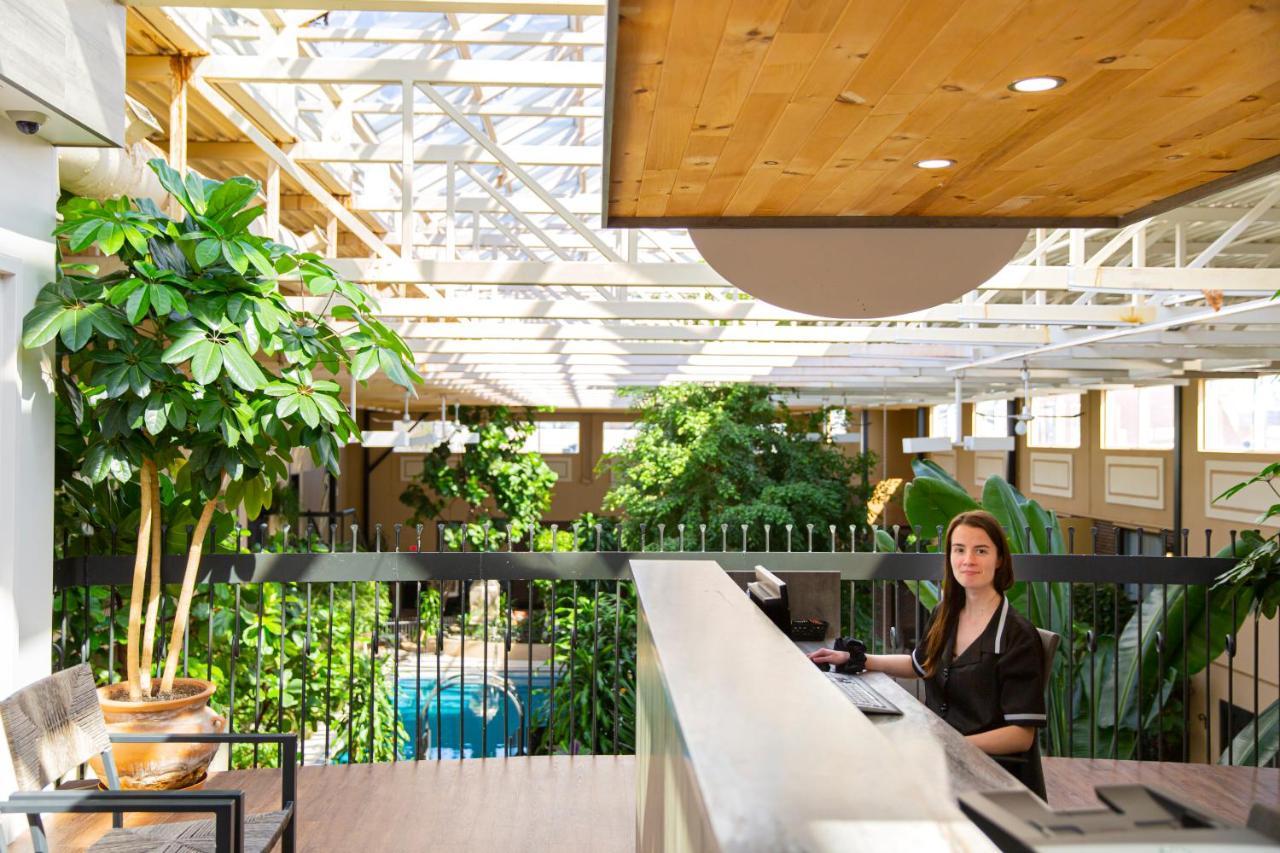 Hotel L'Oiseliere מונמאני מראה חיצוני תמונה